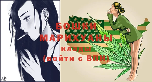 гашик Богородск