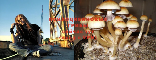 амф Аркадак