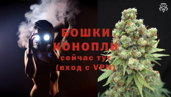 амф Аркадак